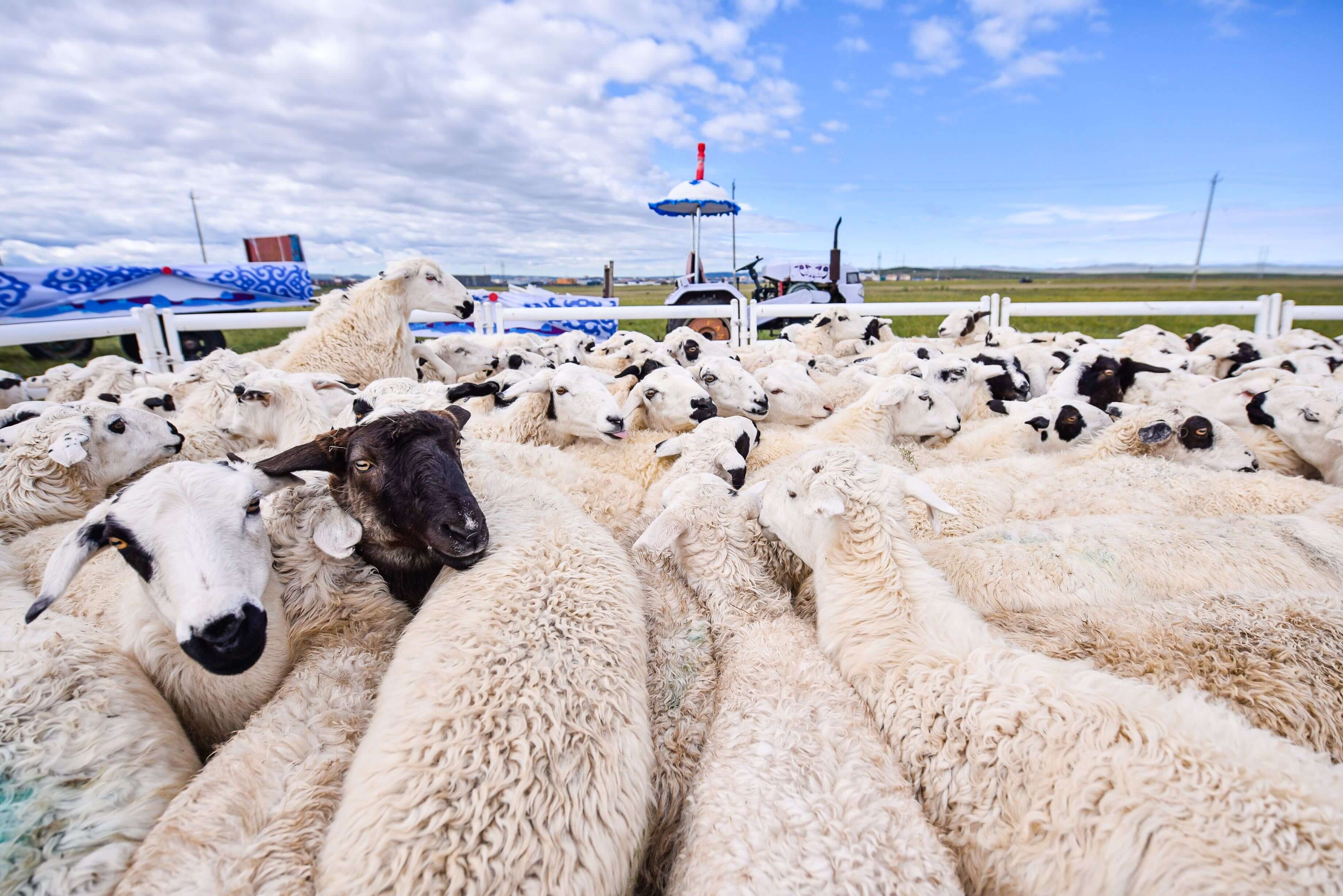 国内黄金现货金价查询软件